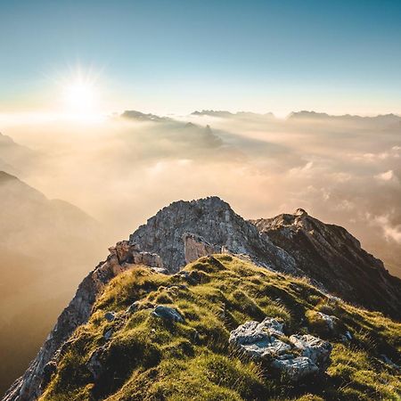 Alpine Suite Seefeld سيفيلد ان تيرول المظهر الخارجي الصورة